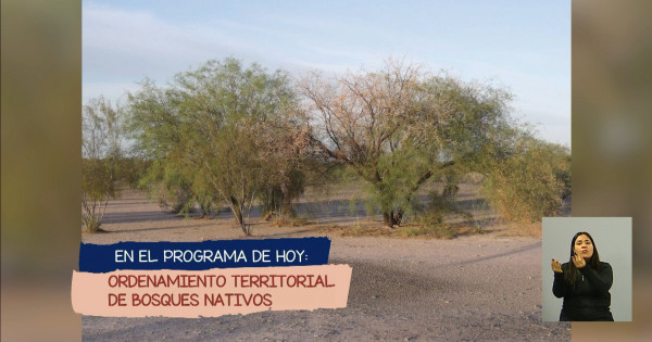 Ordenamiento Territorial De Bosques Nativos En Mendoza Unidiversidad