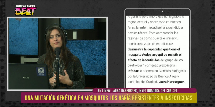 Descubren una mutación genética en mosquitos transmisores del dengue resistentes a insecticidas 