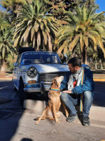 "Argentina con mis perros", por las rutas concientizando sobre castración y adopción canina
