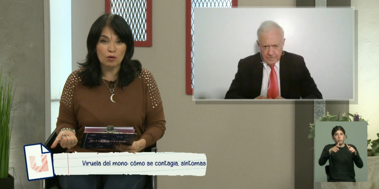 "Viruela del mono" y dengue: cómo se contagian y cuáles son sus síntomas