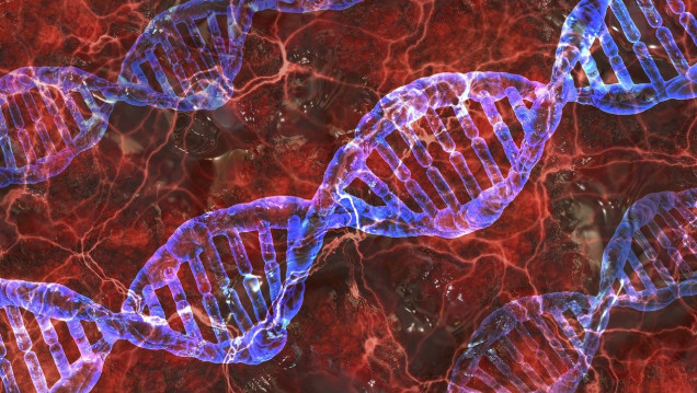 imagen Un estudio describe las alteraciones del ADN que impulsan el cáncer en las células