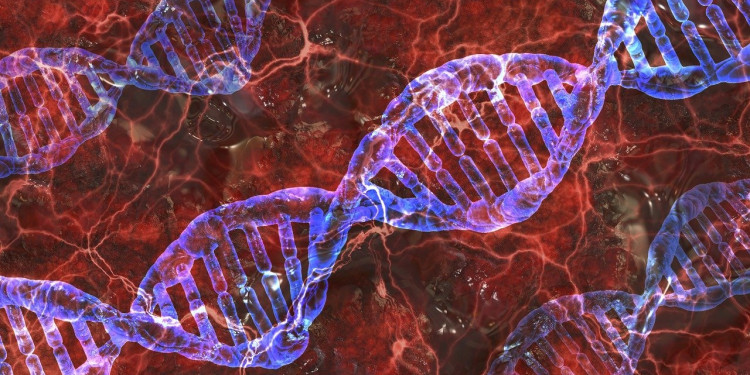 Un estudio describe las alteraciones del ADN que impulsan el cáncer en las células