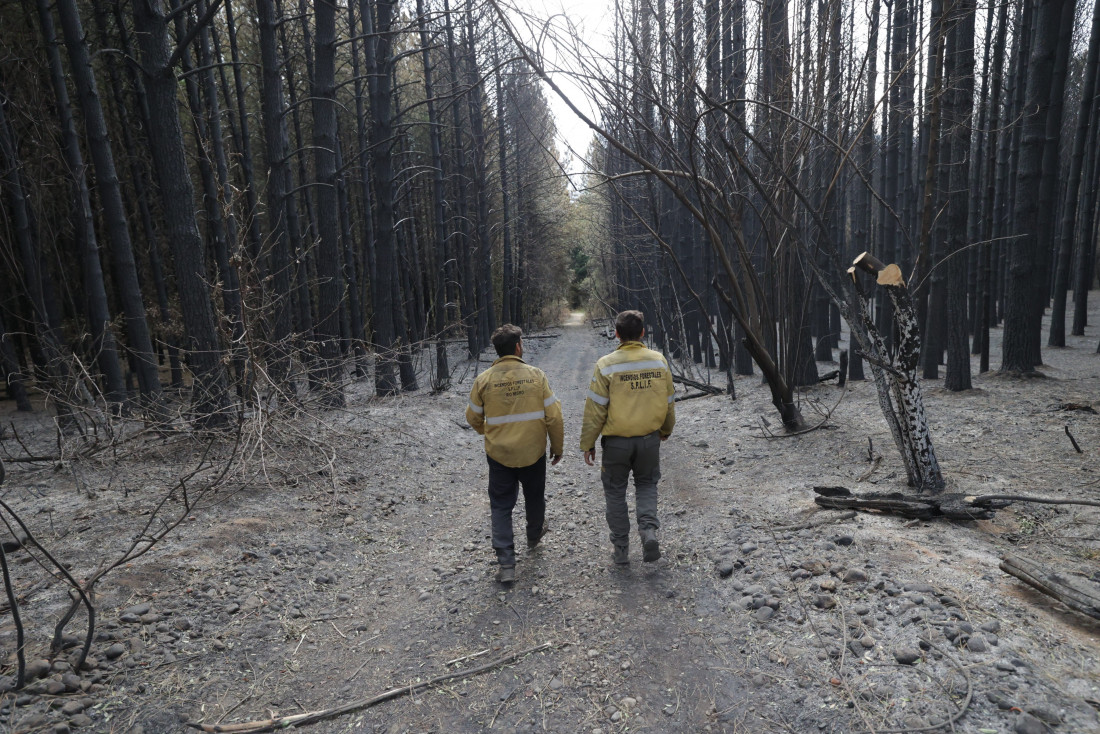 Los incendios en la Patagonia ponen bajo la lupa los fondos para combatir el fuego 