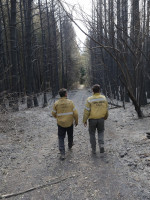 Los incendios en la Patagonia ponen bajo la lupa los fondos para combatir el fuego 