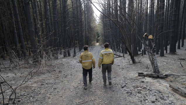 imagen Los incendios en la Patagonia ponen bajo la lupa los fondos para combatir el fuego 