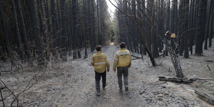 Los incendios en la Patagonia ponen bajo la lupa los fondos para combatir el fuego 