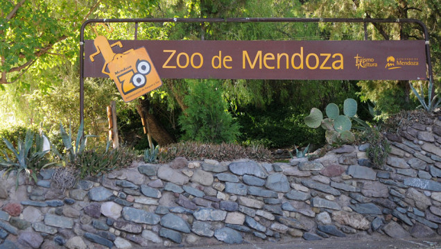 imagen Dos proyectos para intentar cambiar el zoo