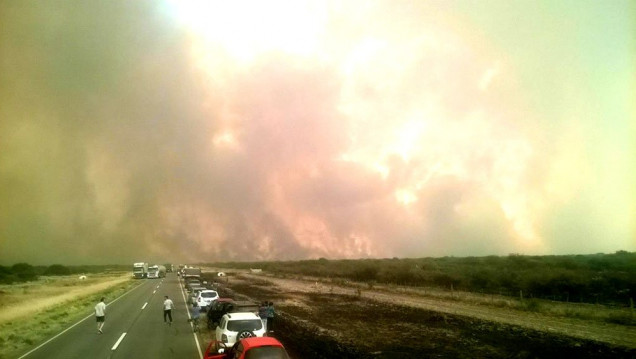 imagen Ya se quemaron 400 mil hectáreas en el país