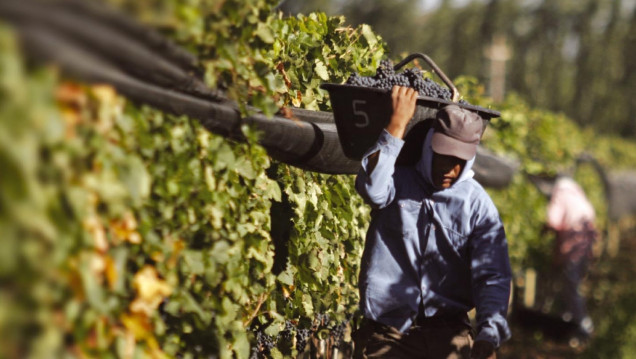 imagen Se dictó la conciliación obligatoria en el conflicto de los trabajadores vitivinícolas