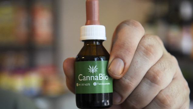 imagen Salud amplió a tres años la autorización para cultivo del cannabis terapéutico
