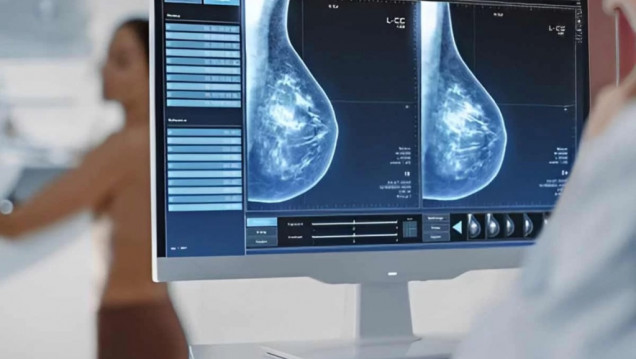 imagen Cáncer de mama: una nueva terapia inhibe el crecimiento de tumores