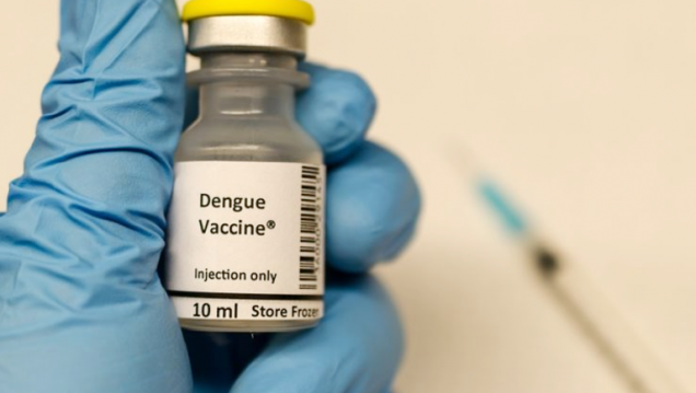 imagen Qué se sabe sobre las vacunas contra el dengue