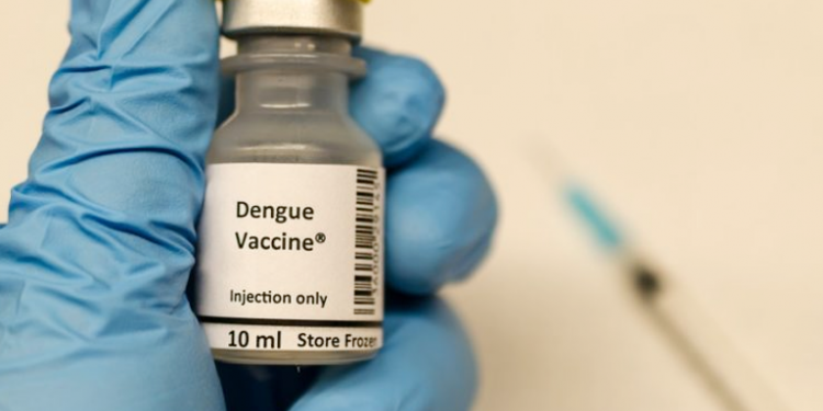 Qué se sabe sobre las vacunas contra el dengue