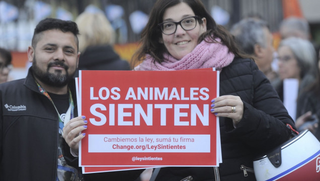 imagen Los reclamos para proteger animales están entre los que más firmas reúnen en Change.org