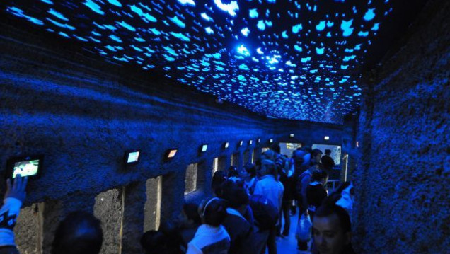 imagen El acuario de Mendoza es el más antiguo del país 