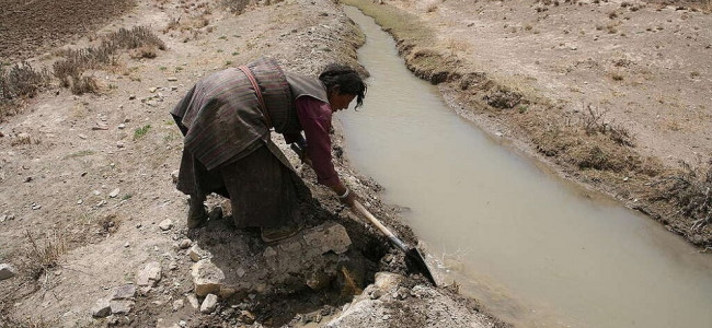 La salud del 70% de trabajadores y trabajadoras del mundo está en riesgo por el cambio climático