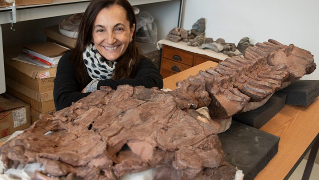 imagen Por primera vez, la revista "Nature" publica en tapa un trabajo liderado por una paleontóloga argentina