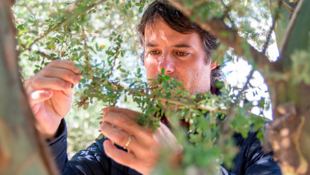 imagen "Nobel de Ecología" para investigador del Conicet que demostró cómo la influencia humana jaquea la biodiversidad 