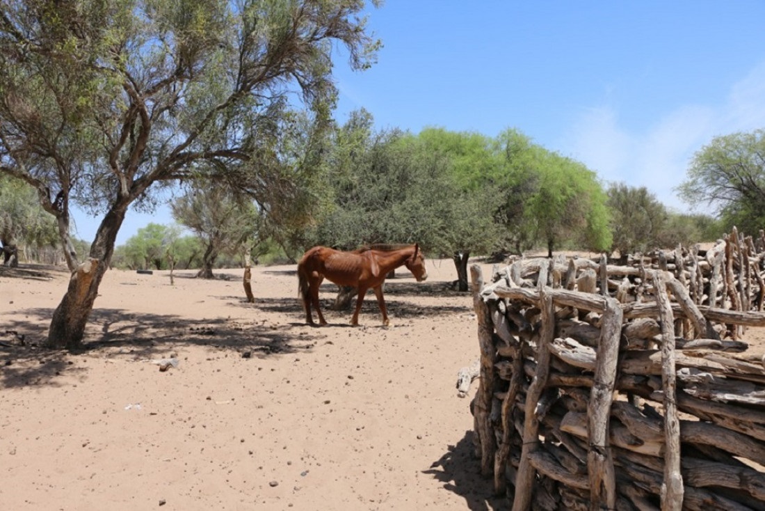 BlackSun, el proyecto de estudiantes de Mendoza que busca revolucionar la captación de agua en zonas áridas