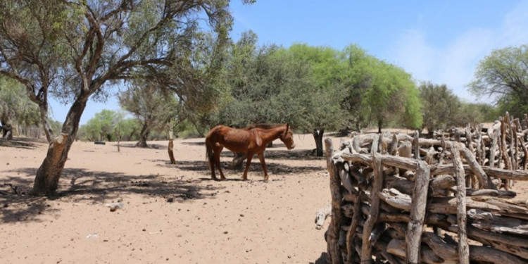 BlackSun, el proyecto de estudiantes de Mendoza que busca revolucionar la captación de agua en zonas áridas