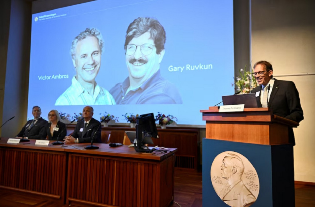 Qué es el microARN, el descubrimiento de los nuevos ganadores del Premio Nobel de Medicina