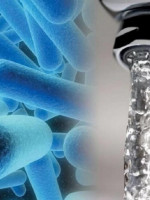 Legionella, la bacteria que obliga a controlar los sistemas de climatización y el agua en hospitales