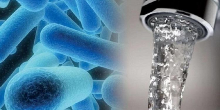 Legionella, la bacteria que obliga a controlar los sistemas de climatización y el agua en hospitales