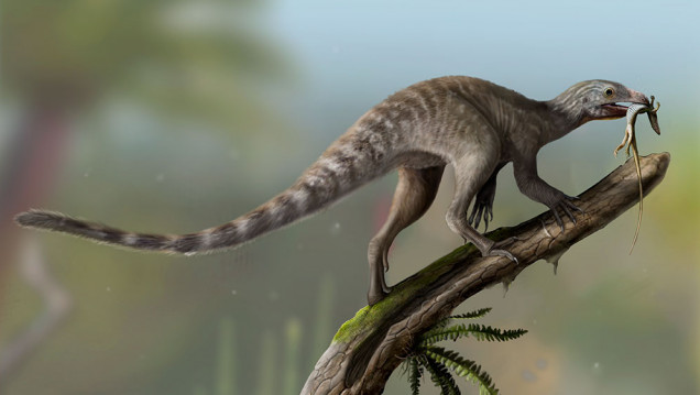 imagen Fósil devela un enigma de la paleontología: cómo eran los ancestros de los reptiles voladores