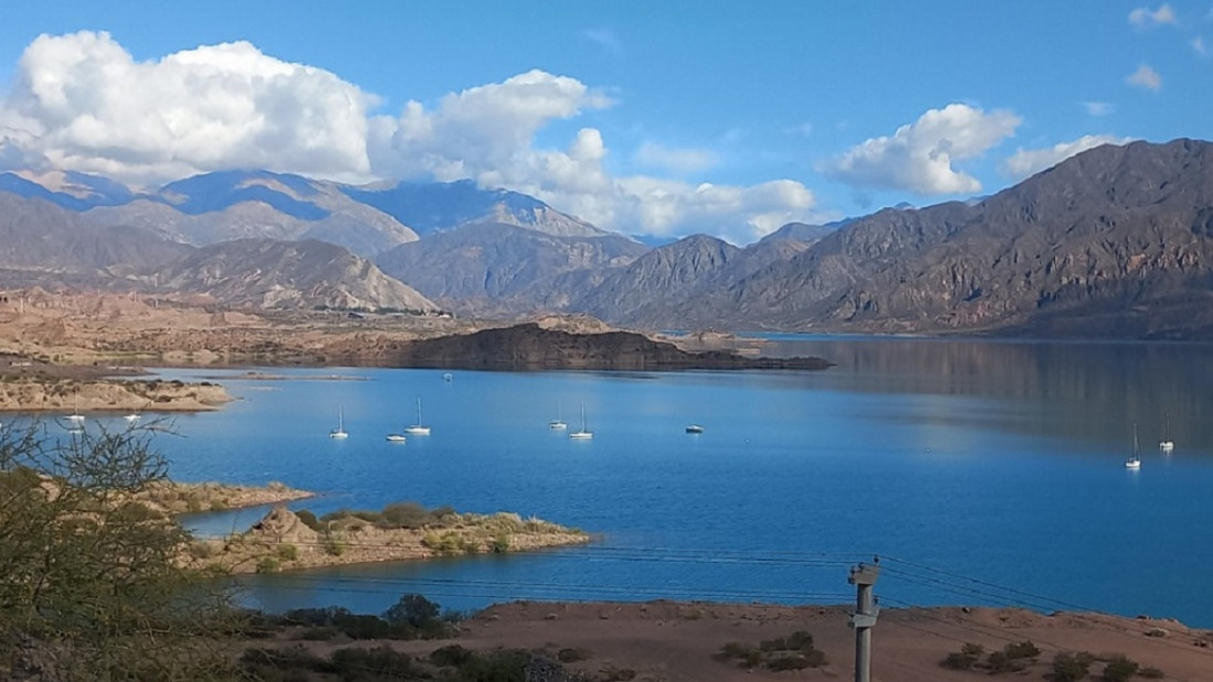 Hallaron microplásticos en peces exóticos y nativos de Mendoza