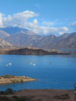 Hallaron microplásticos en peces exóticos y nativos de Mendoza