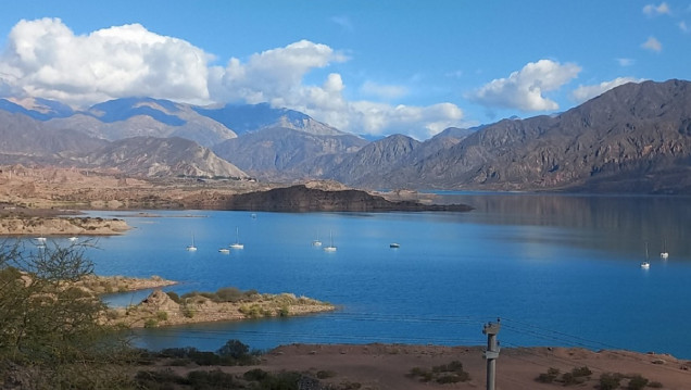 imagen Hallaron microplásticos en peces exóticos y nativos de Mendoza