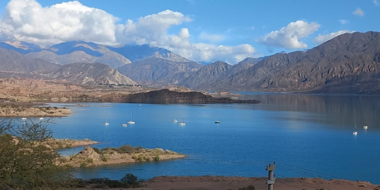 Hallaron microplásticos en peces exóticos y nativos de Mendoza