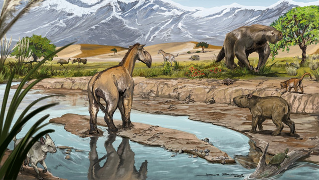 imagen Revelan datos sobre los animales que habitaban Las Huayquerías hace millones de años