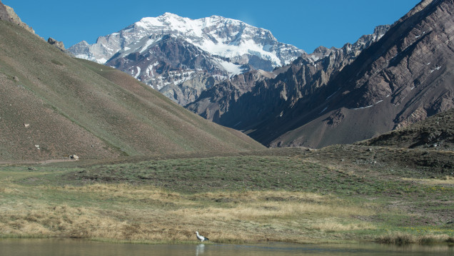 imagen Aconcagua: solo el 20% de los andinistas que intentó hacer cumbre llegó a la cima