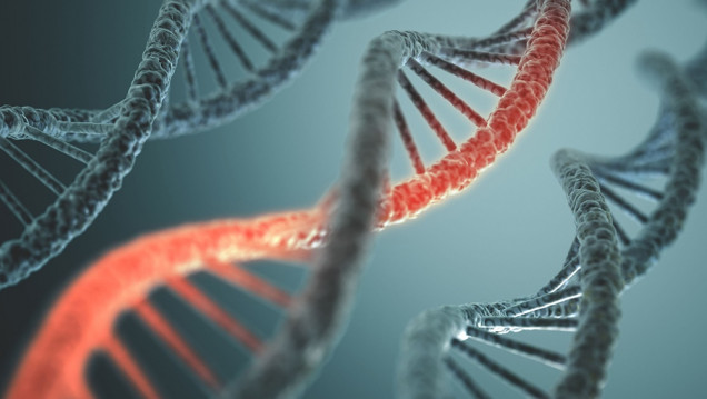 imagen La publicación de la estructura de ADN cumple 70 años