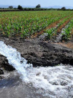 ¿Puede el agua subterránea ser una solución para la crisis hídrica de Mendoza?