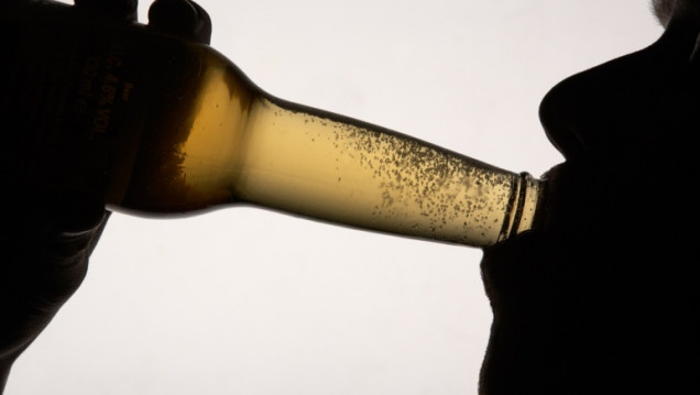 imagen Consumo de alcohol: de la tradición moderada al exceso por diversión