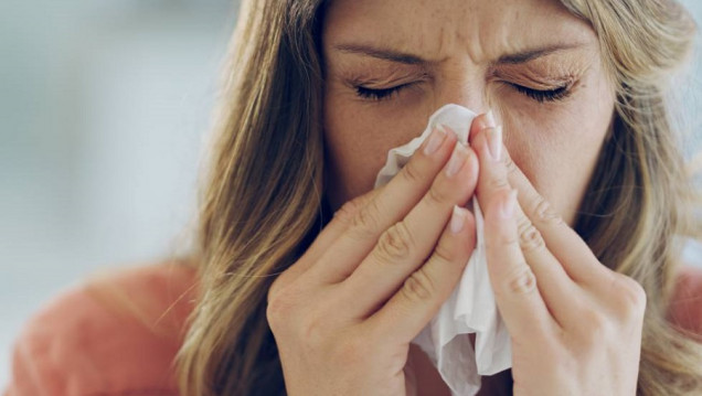imagen Alergias en aumento: entre el 20% y 30% de la población mundial sufre algún tipo