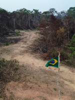 El futuro de la Amazonia se juega en las elecciones de Brasil