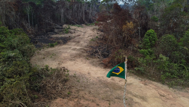 imagen El futuro de la Amazonia se juega en las elecciones de Brasil