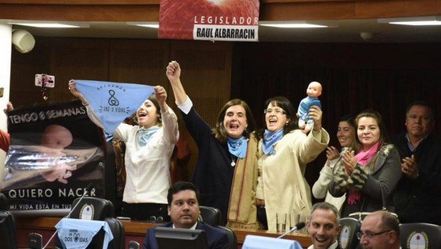 imagen En Tucumán, legisladores buscan prohibir el aborto no punible