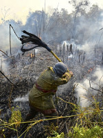  Incendios, sequías prolongadas y la bajante histórica del Paraná: los principales problemas ambientales en 2022