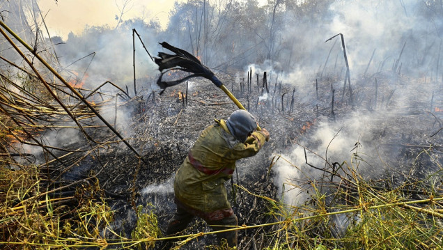 imagen  Incendios, sequías prolongadas y la bajante histórica del Paraná: los principales problemas ambientales en 2022