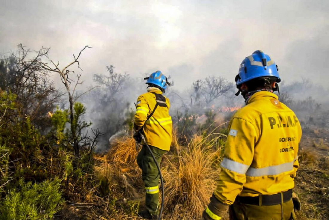 Por el récord de incendios, Amnistía Internacional instó a los gobiernos sudamericanos a evitar una catástrofe climática