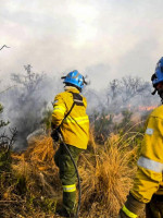 Por el récord de incendios, Amnistía Internacional instó a los gobiernos sudamericanos a evitar una catástrofe climática