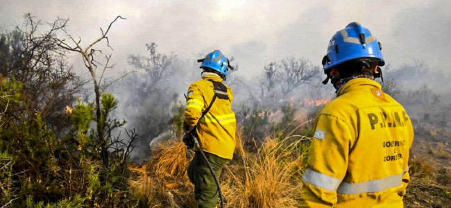 Por el récord de incendios, Amnistía Internacional instó a los gobiernos sudamericanos a evitar una catástrofe climática