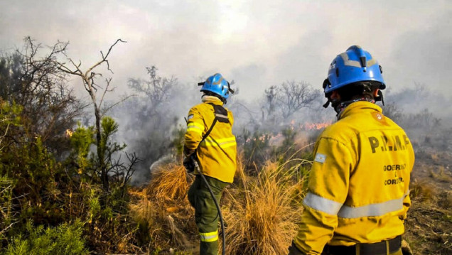 imagen Por el récord de incendios, Amnistía Internacional instó a los gobiernos sudamericanos a evitar una catástrofe climática