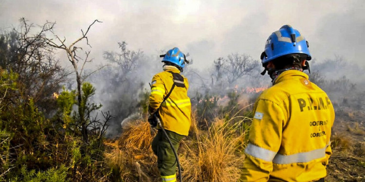 Por el récord de incendios, Amnistía Internacional instó a los gobiernos sudamericanos a evitar una catástrofe climática