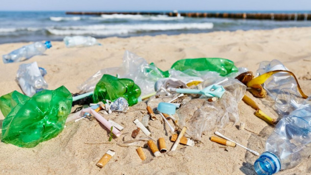 imagen Más del 70% de los residuos censados en las playas bonaerenses continúa siendo plástico