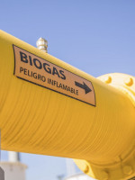 Biogás, una alternativa sustentable para satisfacer la demanda eléctrica a bajo costo